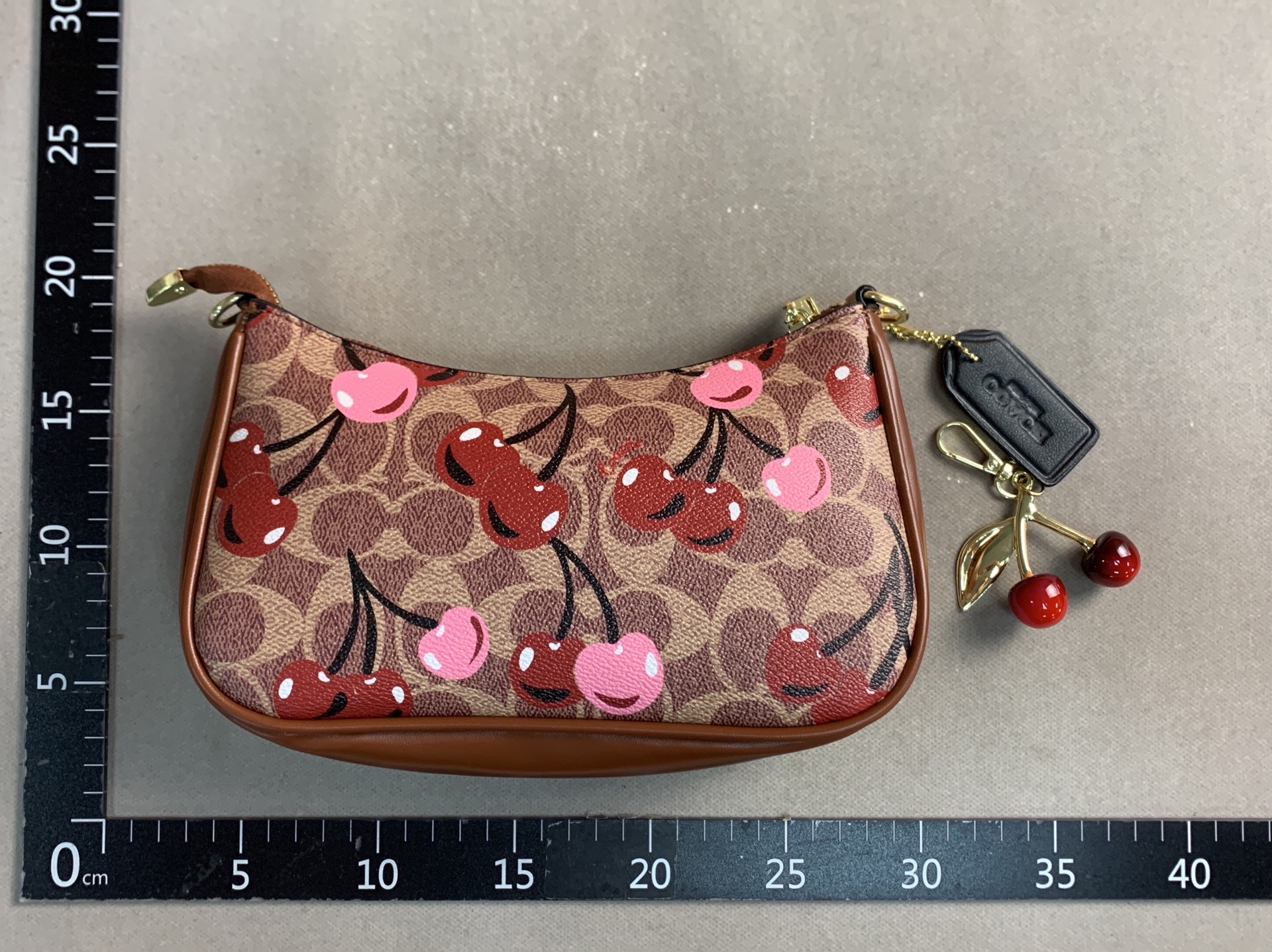 Cross-border foreign trade wholesale coah underarm bag 2025 new women’s bag handbag chain printing shoulder crossbody bag 4