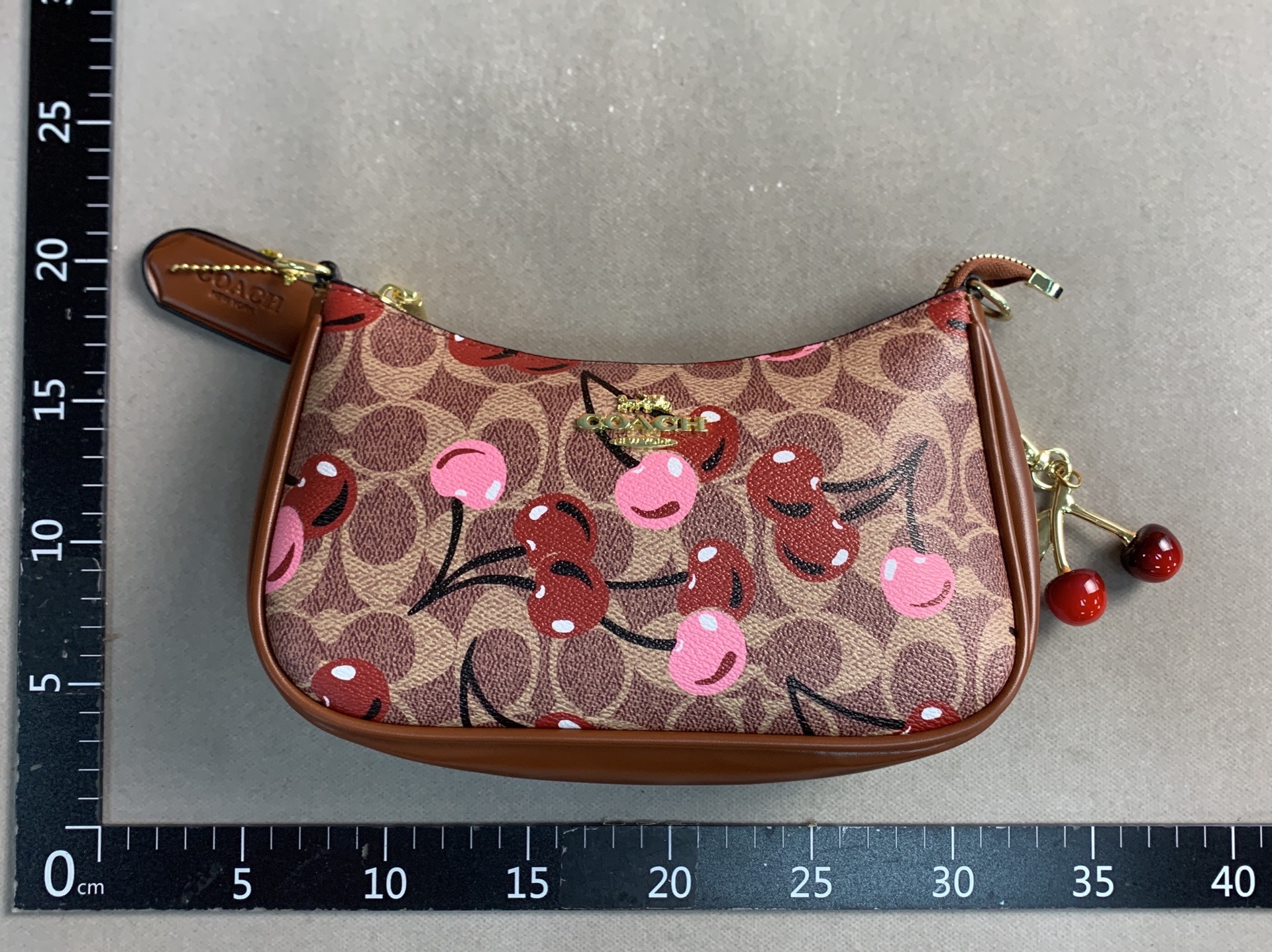 Cross-border foreign trade wholesale coah underarm bag 2025 new women’s bag handbag chain printing shoulder crossbody bag 3
